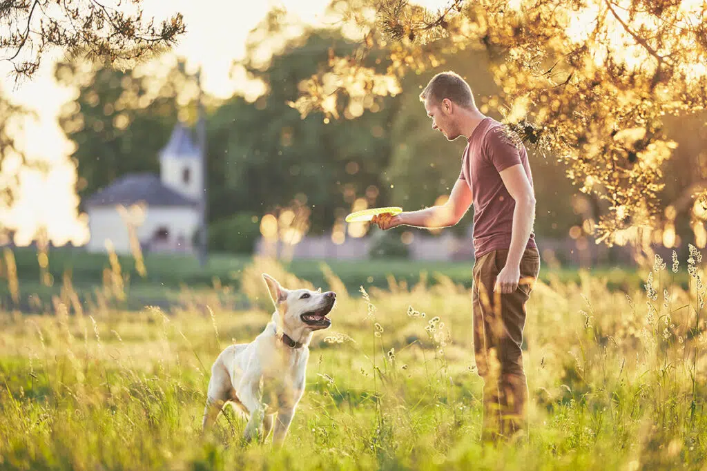 Jouet pour chien