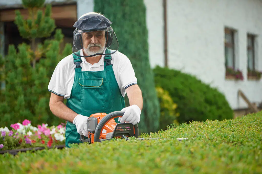 Jardinier qui taille une haie